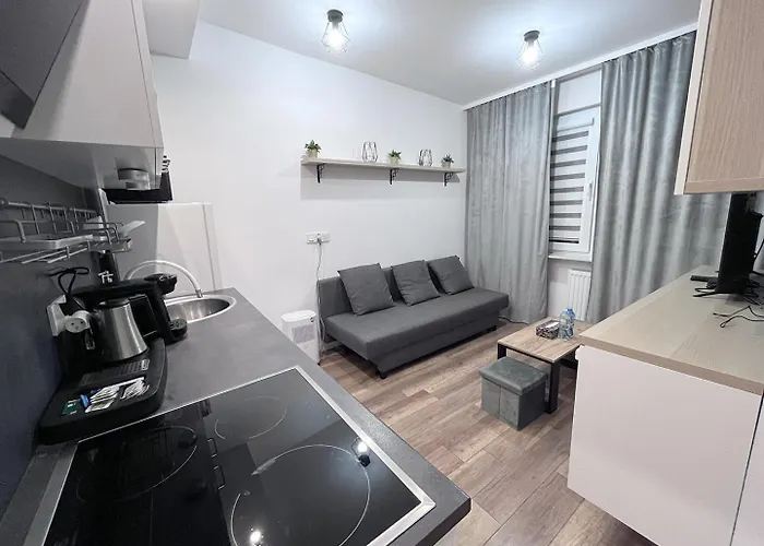 Apartment Near The Castle Malbork